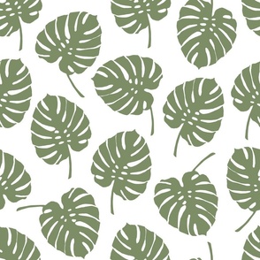 Monstera Sage green white