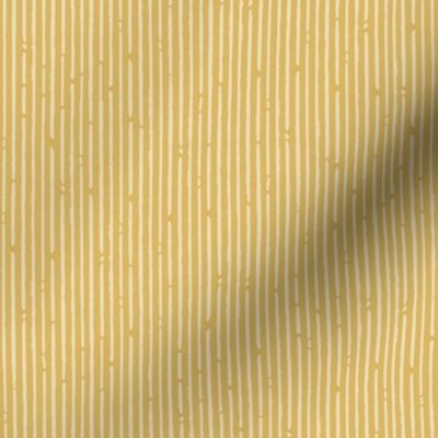 Popcorn Gold + White Light Stripes
