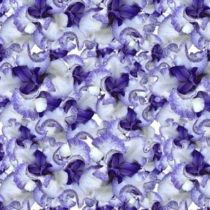 Iris Kaleidoscope