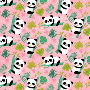 pandas in paradise