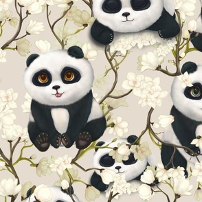 Blossom and blooming panda