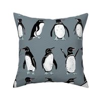 Galápagos Penguins grayish blue medium