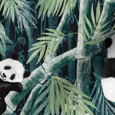 Giant Panda in the Bamboo Forest dark Background