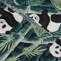 Giant Panda in the Bamboo Forest dark Background