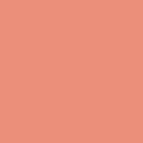 Solid Tuscan Terracotta Color - From the Official Spoonflower Colormap