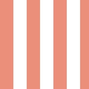 Large Vertical Awning Stripe Pattern - Tuscan Terracotta and White