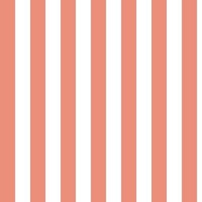 Vertical Awning Stripe Pattern - Tuscan Terracotta and White