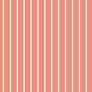 Vertical Pin Stripe Pattern - Tuscan Terracotta and White
