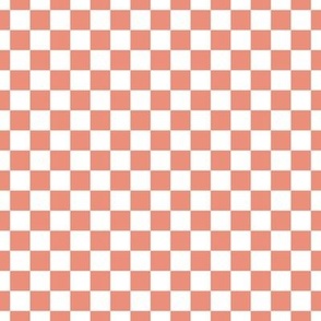 Checker Pattern - Tuscan Terracotta and White