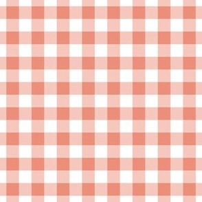 Gingham Pattern - Tuscan Terracotta and White