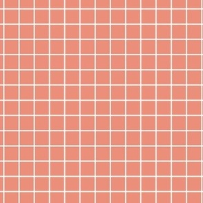 Grid Pattern - Tuscan Terracotta and White