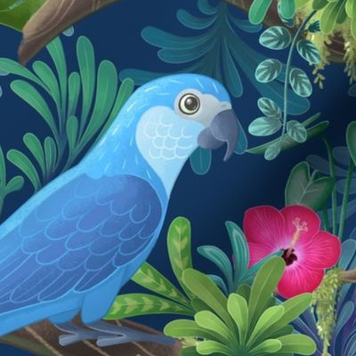 Spix Macaw Reintroduced in the wild