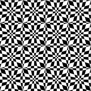 monochrome geometric op art