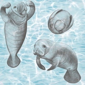 None is stronger than manatee
