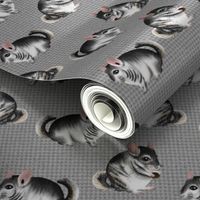 Adorable Chinchillas on Textured Grey by Brittanylane