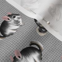 Adorable Chinchillas on Textured Grey by Brittanylane