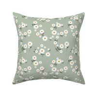 Messy daisies and leaves spring summer garden petals and blossom flowers white gray on sage green 
