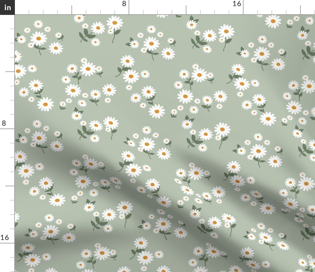 Messy daisies and leaves spring summer garden petals and blossom flowers white gray on sage green 