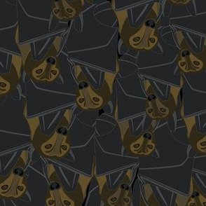Cave Full of Bats