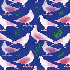 Pink Pigeon