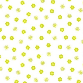 Chartreuse Flowers on White