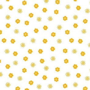 Marigold Flowers on White