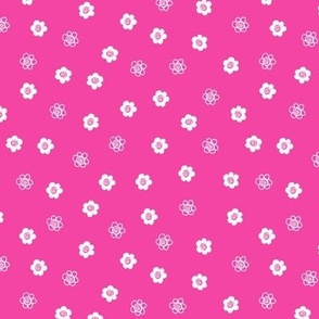 White Flowers on Hot Pink