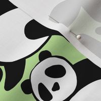 MEDIUM - Black & White Panda Playground - Green 