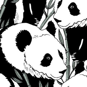 Giant panda and bamboo