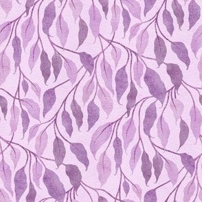 Weeping Fig | Purple