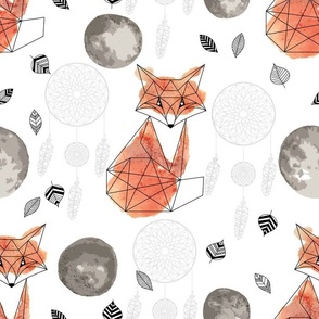 Foxes and Moons