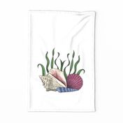 sea shell tea towel