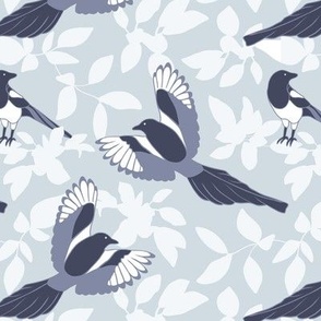 Magpie Blue Gray