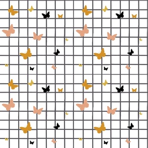 Butterflies on grid