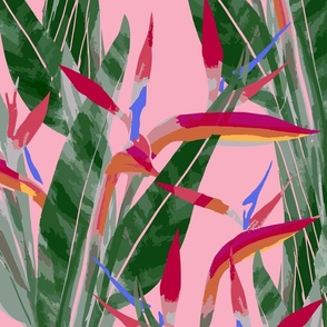 JUMBO painterly bird of paradise - Vibrant pink