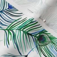 Peacock Feathers {medium}