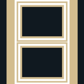 The Gold and the Black: Panels
