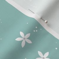 The minimalist hawaii blossom garden jasmin flowers and seeds white on warm aqua blue