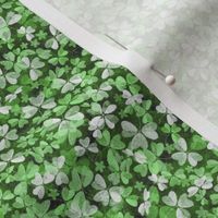 Tiny Irish Shamrock and Clover - natural green 