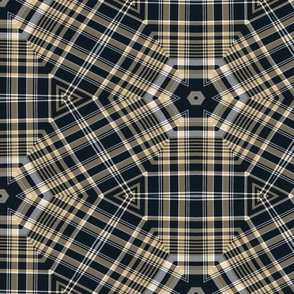 The Gold and the Black: Starburst Plaid - LARGE - 2