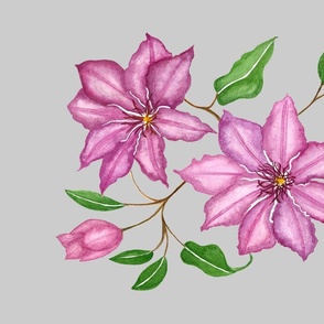 Pink_Clematis_with_Joy