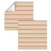 Multicolour Stripes-nanditasingh