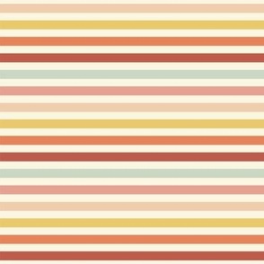 Multicolour Stripes-nanditasingh