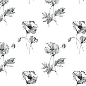 Line Art Poppies in Black and White, Minimal Floral Design, Poppy