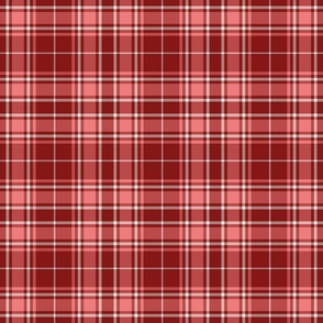 Tartan Plaid - deep red with carnation pink and white cement