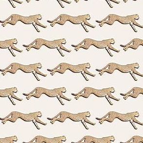 Just Cheetahs - on taupe - tiny scale