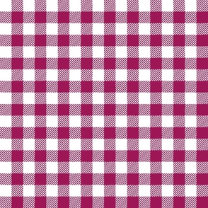 Magenta Check - Small (Bright Easter Collection)