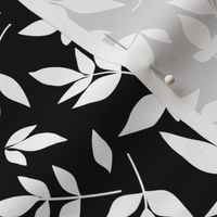 White on black leaves
