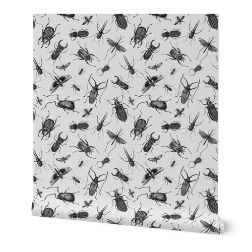 Vintage Beetles And Bugs Black And White | Spoonflower