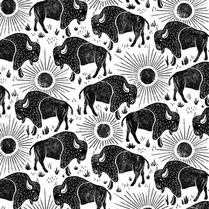 Bison - large - black and white